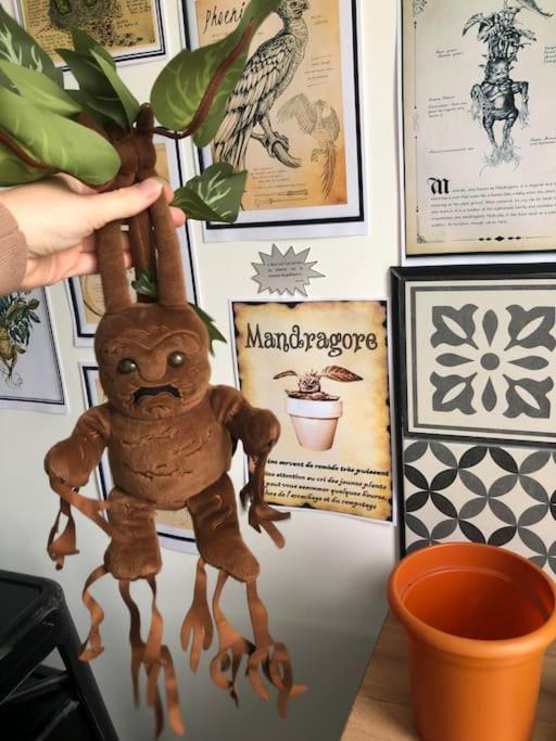 Maison Harry Potter Pour 6 Personnes En Centre Ville 몽토방 외부 사진